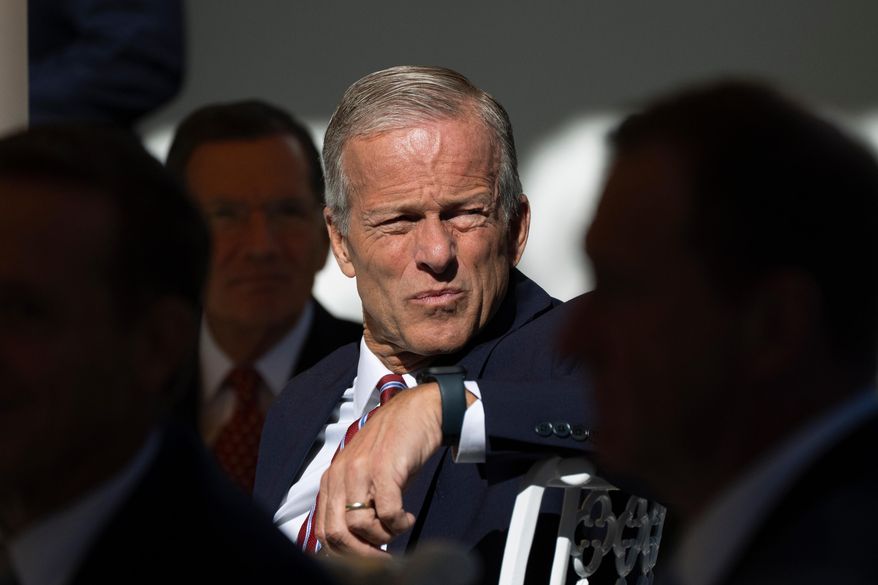 Senate Majority Leader John Thune, R-S.D., listens as President Donald Trump speaks as he hosts a lunch with Republican Senators on the Rose Garden patio at the White House, Tuesday, Oct. 21, 2025, in Washington. (AP Photo/Manuel Balce Ceneta)