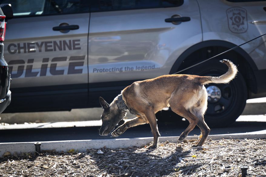 A law enforcement K9 sweeps the grounds of the Wyoming Capitol after a suspected improvised explosive device (IED) was found at the state Capitol on Tuesday, Oct. 21, 2025, in Cheyenne, Wyo. (Milo Gladstein/The Wyoming Tribune Eagle via AP)