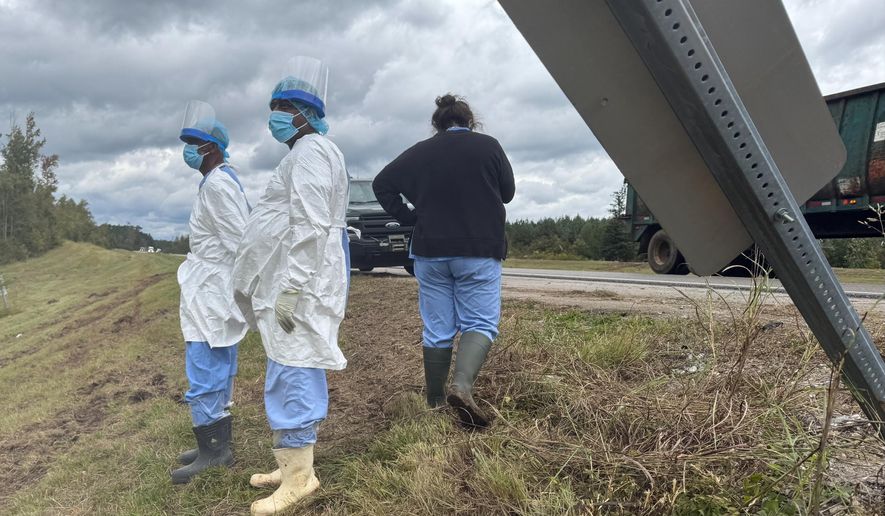 People wearing protective clothing search along a highway in Heidelberg, Miss., on Wednesday, Oct. 29, 2025, near the site of an overturned truck that was carrying research monkeys. (AP Photo/Sophie Bates)