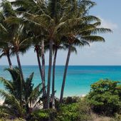 The view from a beachfront suite at the luxury resort Lizard Island, Queensland, Nov. 18, 2017. (Sarah Motherwell/AAP Image via AP) ** FILE **