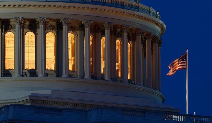 FILE - An American flag flies on the Capitol Dome in Washington on July 16, 2019. (AP Photo/Carolyn Kaster, File)