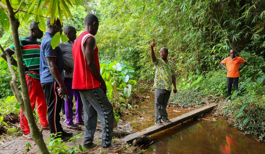 Friar Joseph Kwame Blay, center, a Ghanaian Franciscan Catholic Pries and native of Jema, and members of a local anti-illegal gold mining task force patrol a forest reserve in the Jema community in the Western North Region, Ghana, Thursday, Sept. 11, 2025. (AP Photo/Tsraha Yaw)