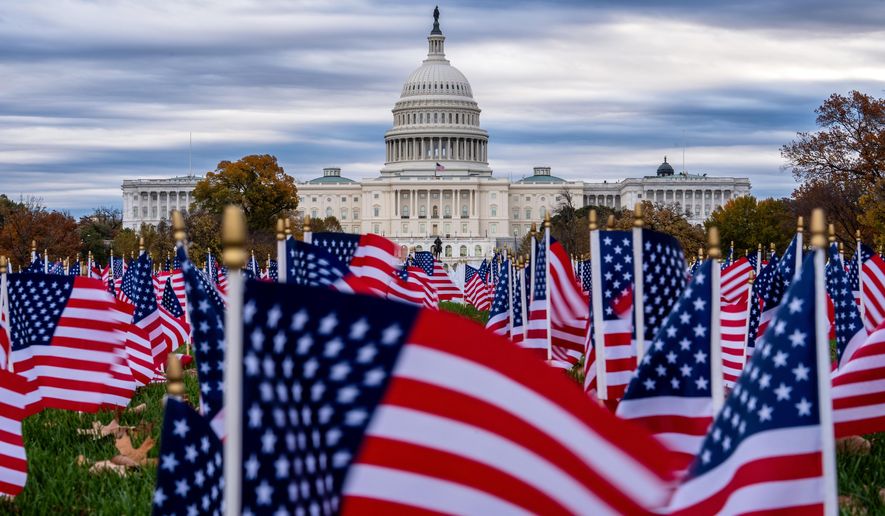 Miniature American flags flutter in wind gusts across the National Mall near the Capitol in Washington, Monday, Nov. 10, 2025. (AP Photo/J. Scott Applewhite)