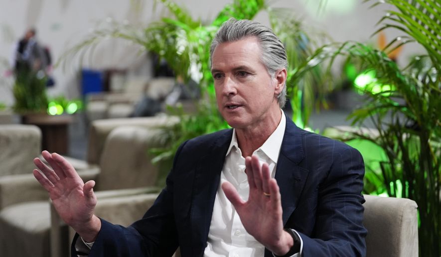 California Gov. Gavin Newsom speaks during an interview with The Associated Press at the COP30 U.N. Climate Summit, Tuesday, Nov. 11, 2025, in Belem, Brazil. (AP Photo/Joshua A. Bickel) ** FILE **