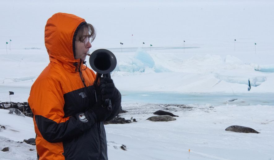 In this photo provided by Antarctica New Zealand, Natalie Paine plays a plastic French horn at Scott Base in Antarctica, on Nov. 16, 2025. (Anthony Powell/Antarctica New Zealand via AP)