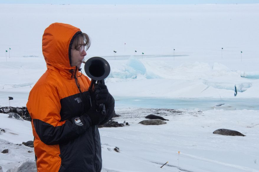 In this photo provided by Antarctica New Zealand, Natalie Paine plays a plastic French horn at Scott Base in Antarctica, on Nov. 16, 2025. (Anthony Powell/Antarctica New Zealand via AP)