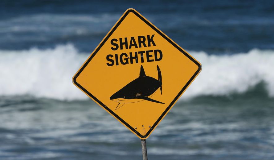 A sign is seen at the site of a fatal shark attack at Dee Why Beach, in Sydney, Australia, Sept. 6, 2025. (AP Photo/Mark Baker)
