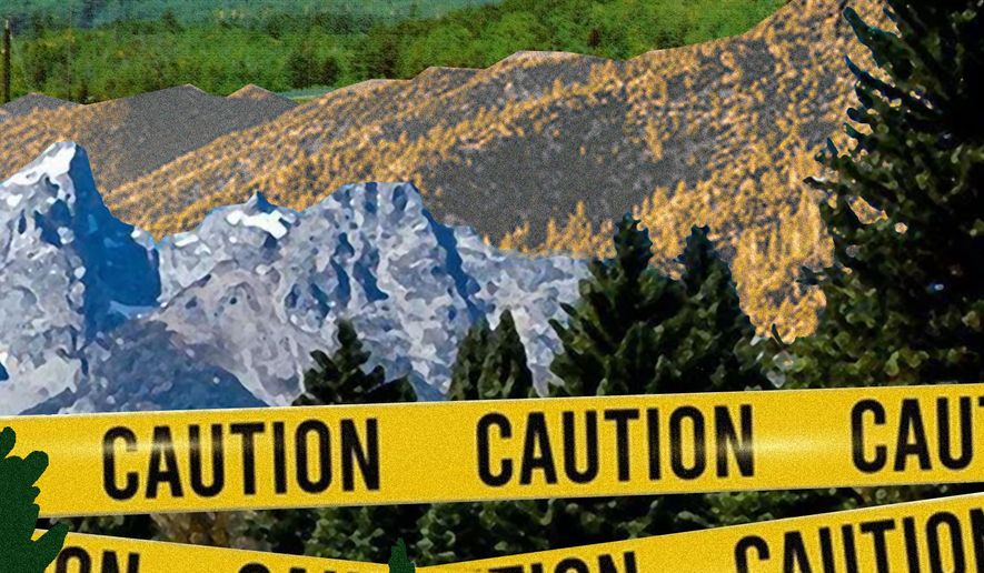 The United States of America's forests under threat illustration by Linas Garsys / The Washington Times