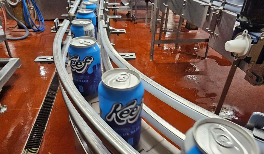 Cans of seltzer containing THC, the active ingredient in marijuana, speed down the canning line at Indeed Brewing in Minneapolis on Thursday, Nov. 20, 2025. (AP Photo/Steve Karnowski)