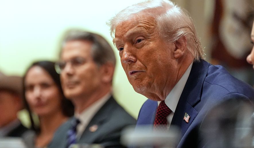 President Donald Trump speaks during a roundtable on farm subsidies in the Cabinet Room of the White House, Monday, Dec. 8, 2025, in Washington. (AP Photo/Alex Brandon)