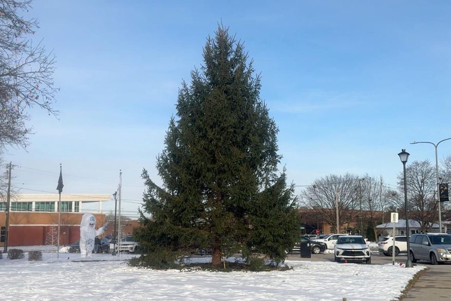 This image taken from video provided by WXYZ-TV shows a Norway spruce tree being transplanted at city hall in Dearborn Heights, Mich, Monday, Dec. 8, 2025. (WXYZ-TV via AP)