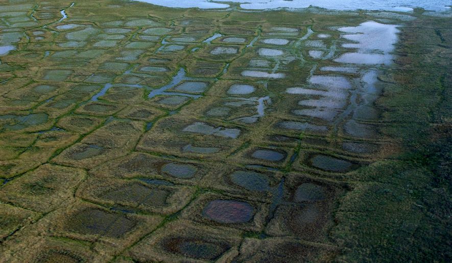 In this undated photo, provided by the United States Geological Survey, permafrost forms a grid-like pattern in the National Petroleum Reserve-Alaska, managed by the Bureau of Land Management on Alaska's North Slope. (David W. Houseknecht/United States Geological Survey via AP) **FILE**