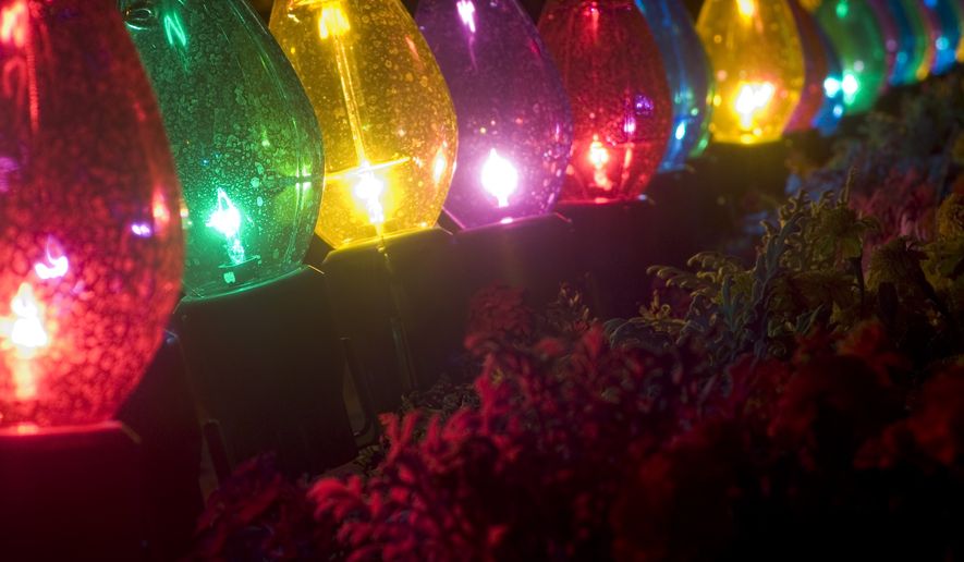 Outdoor oversized Christmas lights in front of plants. File photo credit: Douglas Greenwald via Shutterstock.