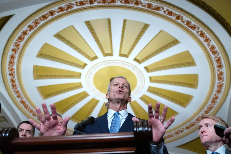 Senate Majority Leader John Thune, R-S.D., speaks to reporters following the weekly policy luncheons at the Capitol, Tuesday, Dec. 16, 2025, in Washington. (AP Photo/Jose Luis Magana)