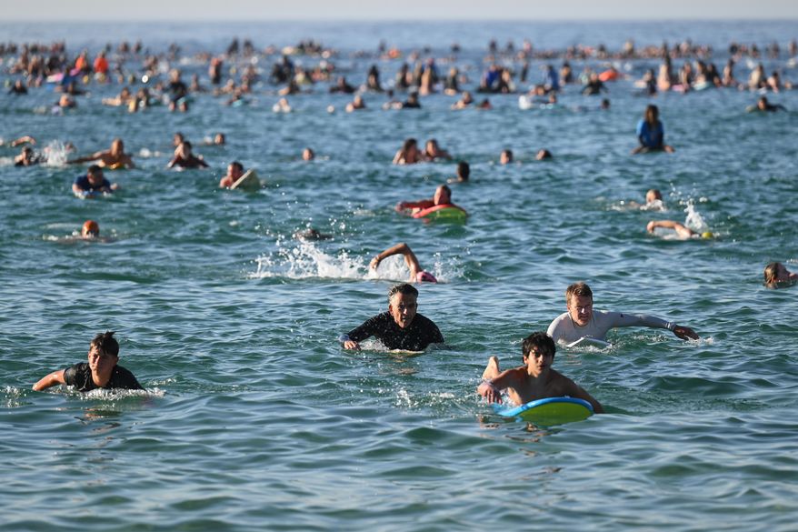 FILE - Surfers and swimmers head out to the ocean as a tribute following Sunday's shooting at Bondi Beach, in Sydney, Friday, Dec. 19, 2025. (AP Photo/Steve Markham,File)