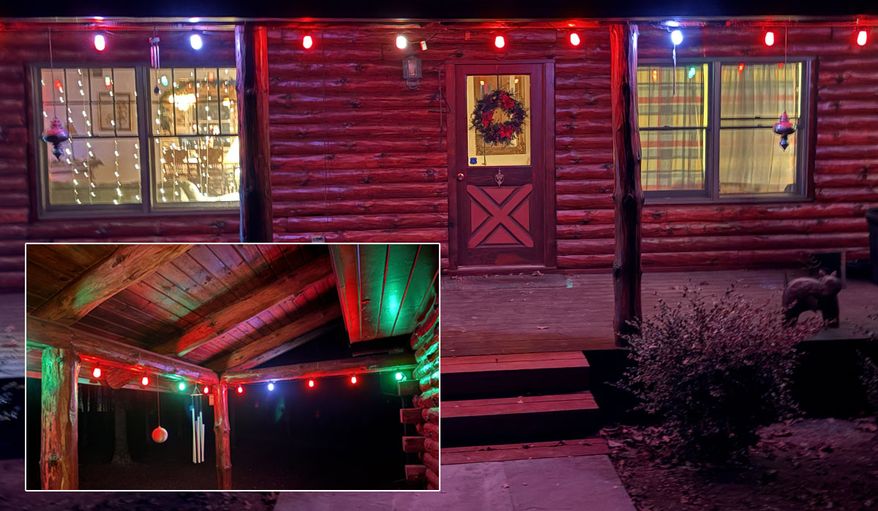 ZB1 Smart String Lights from Lepro