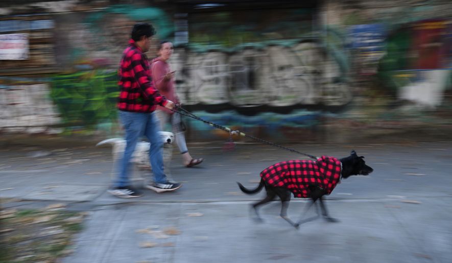 A couple walks their dogs after leaving their home due to an earthquake that was felt in Mexico City, Friday, Jan. 2, 2026, amid a magnitude 6.5 quake that originated in the Acapulco area. (AP Photo/Marco Ugarte)
