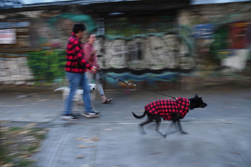 A couple walks their dogs after leaving their home due to an earthquake that was felt in Mexico City, Friday, Jan. 2, 2026, amid a magnitude 6.5 quake that originated in the Acapulco area. (AP Photo/Marco Ugarte)