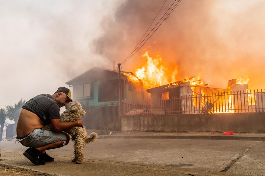 A member of the Gonzalez family pets his dog after the family's home caught fire during wildfires in Lirquen, Chile, Sunday, Jan. 18, 2026. (AP Photo/Javier Torres)