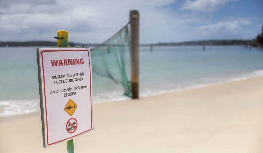 A net runs into Sydney Harbour at a closed beach at Vaucluse in Sydney, Monday, Jan. 19, 2026, a day after a boy was attacked by a shark. (Sitthixay Ditthavong/AAP Image via AP)