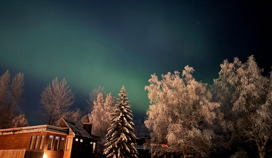 FILE - The northern lights glow behind trees covered in hoarfrost over Anchorage, Alaska, Nov. 25, 2025. (AP Photo/Mark Thiessen, File)