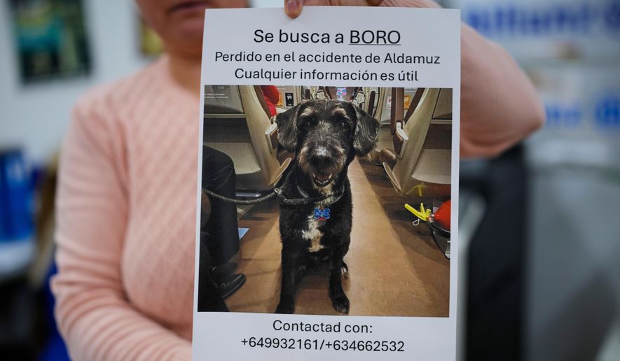 A woman holds a sign reading in Spanish, "Missing Boro. Lost during the Adamuz accident. Any information is helpful," about a dog that went missing during a train crash in Adamuz, southern Spain, Wednesday, Jan. 21, 2026. (AP Photo/Manu Fernandez)