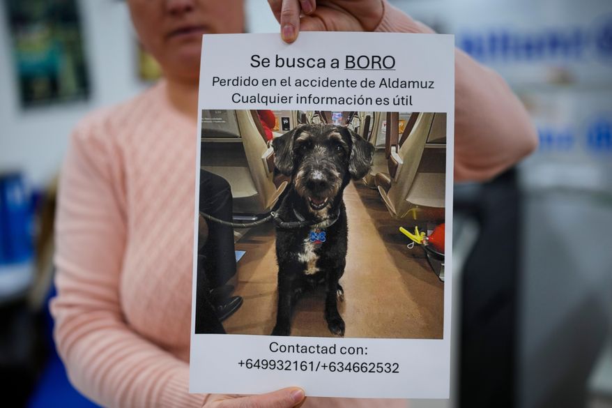 A woman holds a sign reading in Spanish, "Missing Boro. Lost during the Adamuz accident. Any information is helpful," about a dog that went missing during a train crash in Adamuz, southern Spain, Wednesday, Jan. 21, 2026. (AP Photo/Manu Fernandez)