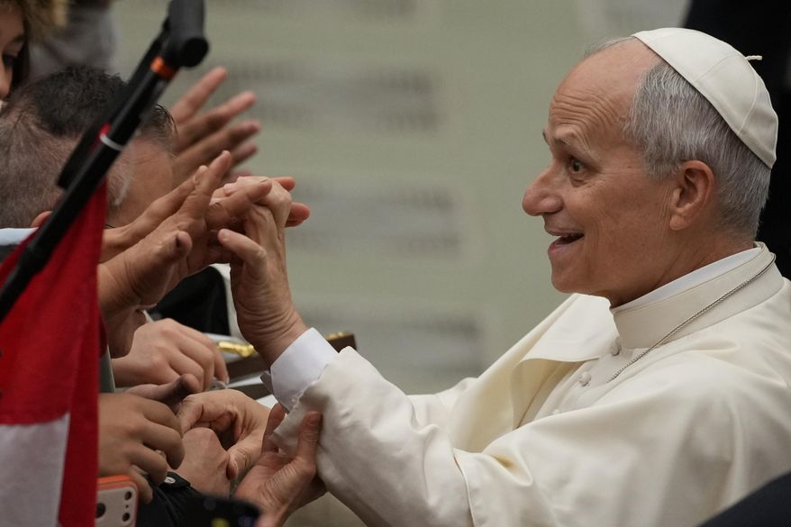 Pope Leo XIV greets people during his weekly general audience in the Pope Paul VI hall at the Vatican, Wednesday, Jan. 14, 2026. (AP Photo/Andrew Medichini)