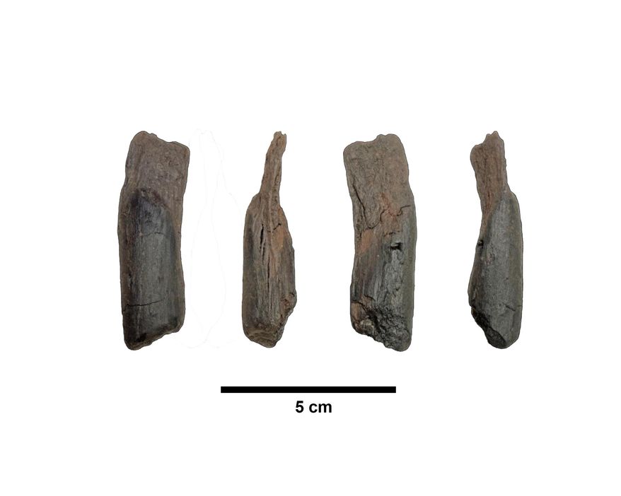 This undated image provided by Katerina Harvati shows various angles of a 430,000 year old wooden tool from Greece. (Katerina Harvati, Nicholas Thompson via AP)