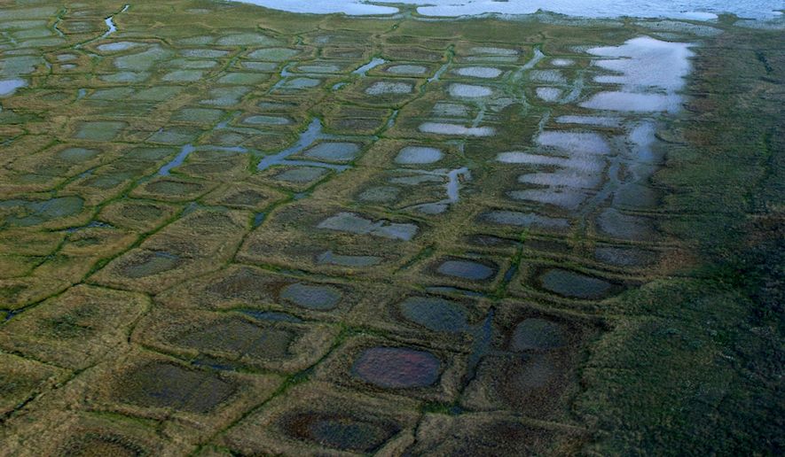 FILE - In this undated photo provided by the United States Geological Survey, permafrost forms a grid-like pattern in the National Petroleum Reserve-Alaska managed by the Bureau of Land Management on Alaska's North Slope. (David W. Houseknecht/United States Geological Survey via AP, File)