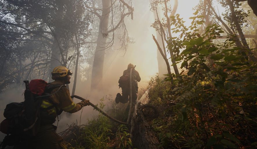 Firefighters battle wildfires in Los Alerces National Park, Argentina, Saturday, Jan. 31, 2026. (AP Photo/Victor R. Caivano)