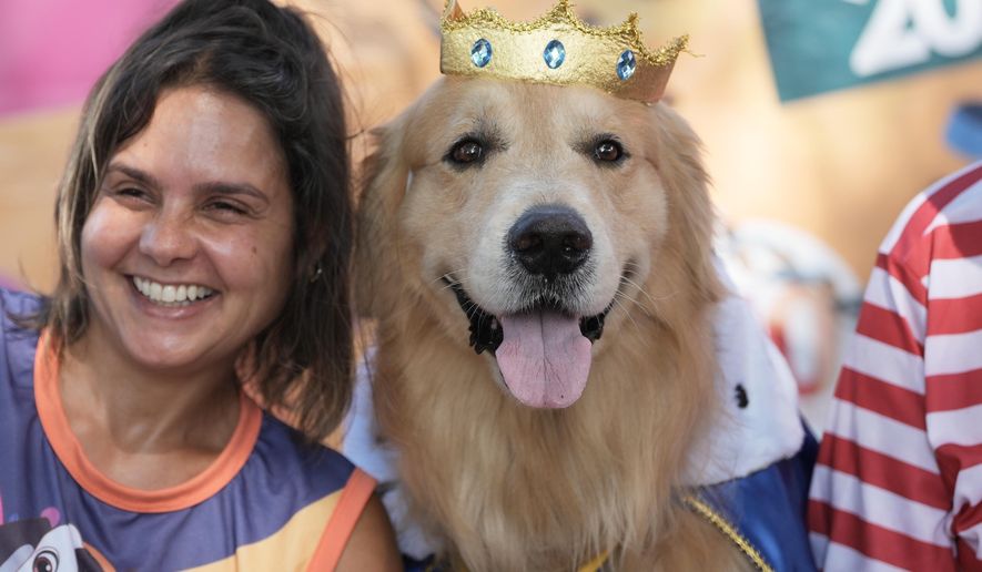 A dog wears a crown during the "Blocao" Carnival dog parade in Rio de Janeiro, Saturday, Feb. 14, 2026. (AP Photo/Silvia Izquierdo)