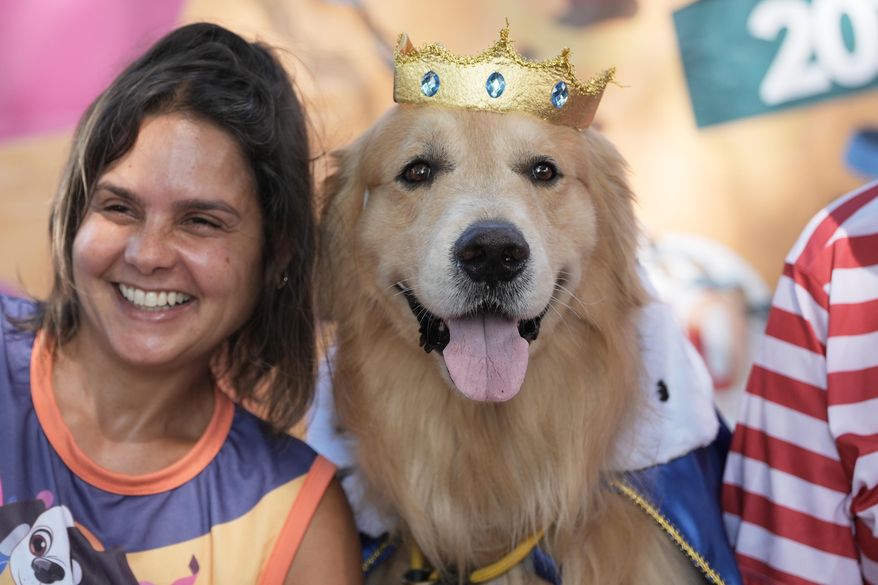 A dog wears a crown during the "Blocao" Carnival dog parade in Rio de Janeiro, Saturday, Feb. 14, 2026. (AP Photo/Silvia Izquierdo)