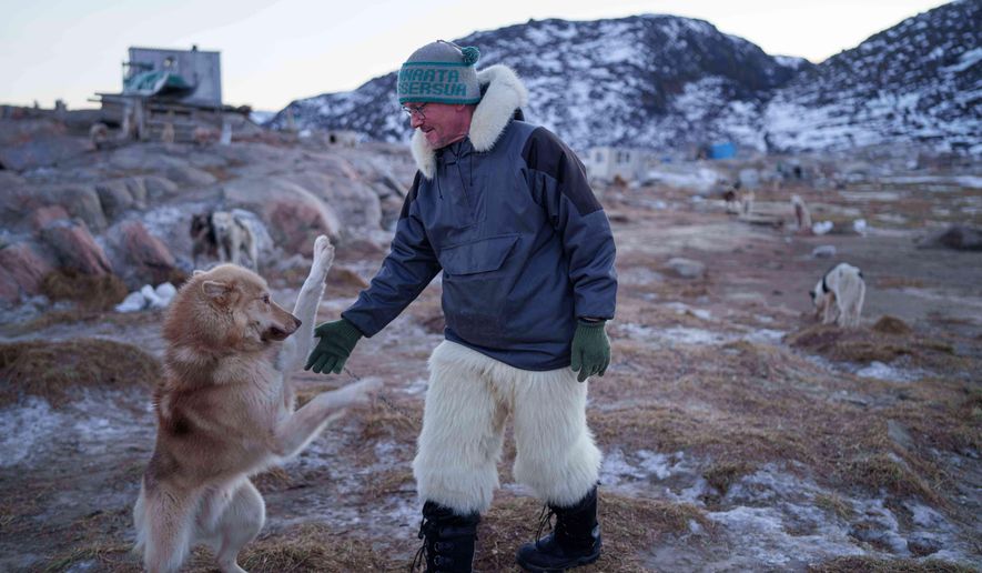 Jørgen Kristensen pets his sled dog before a ride in Ilulissat, Greenland, Tuesday, Jan. 27, 2026. (AP Photo/Evgeniy Maloletka)