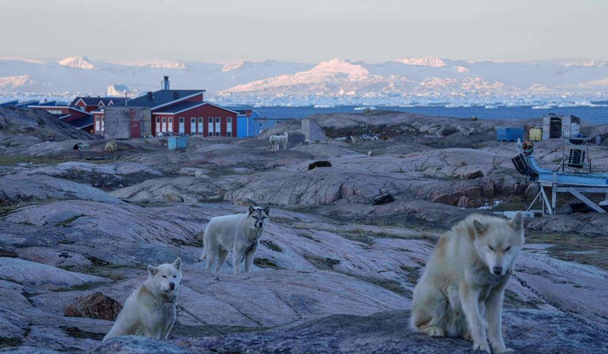 Greenlandic sled dogs stand in Ilulissat, Greenland, Tuesday, Jan. 27, 2026. (AP Photo/Evgeniy Maloletka)