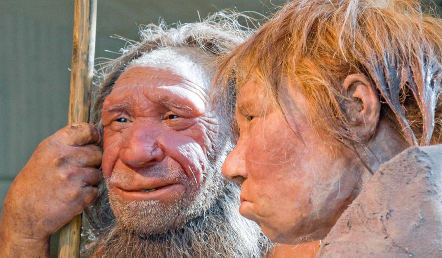 This Friday, March 20, 2009 file photo shows reconstructions of a Neanderthal man, left, and woman at the Neanderthal museum in Mettmann, Germany. (AP Photo/Martin Meissner, File)