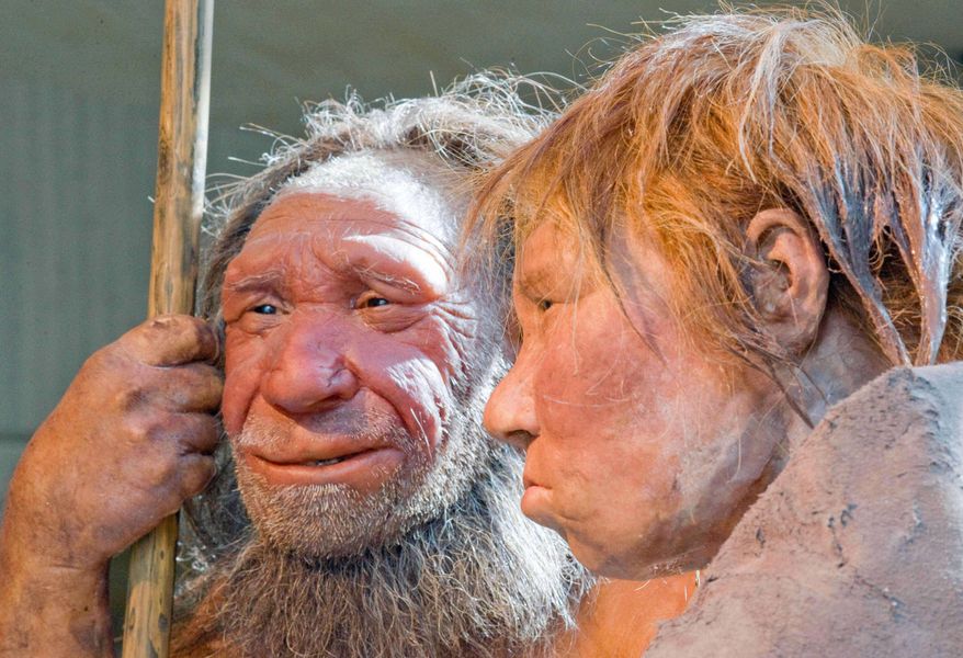 This Friday, March 20, 2009 file photo shows reconstructions of a Neanderthal man, left, and woman at the Neanderthal museum in Mettmann, Germany. (AP Photo/Martin Meissner, File)