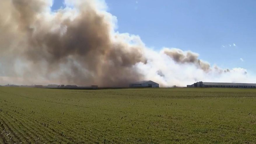 In this grab from video made available by WSYX, smoke rises from a fire at an Ohio hog farm complex, in Madison County, Wednesday, Feb. 25, 2026. (WSYX via AP)