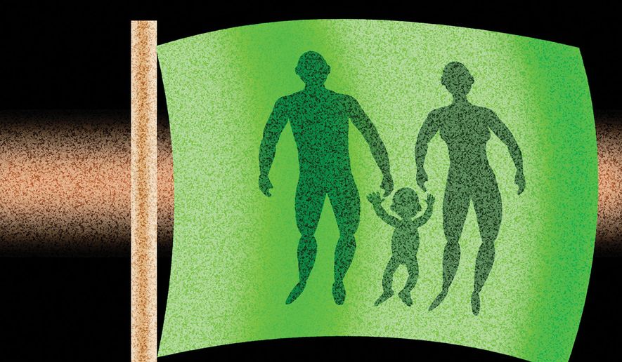 Supporting the traditional family illustration by Alexander Hunter/The Washington Times