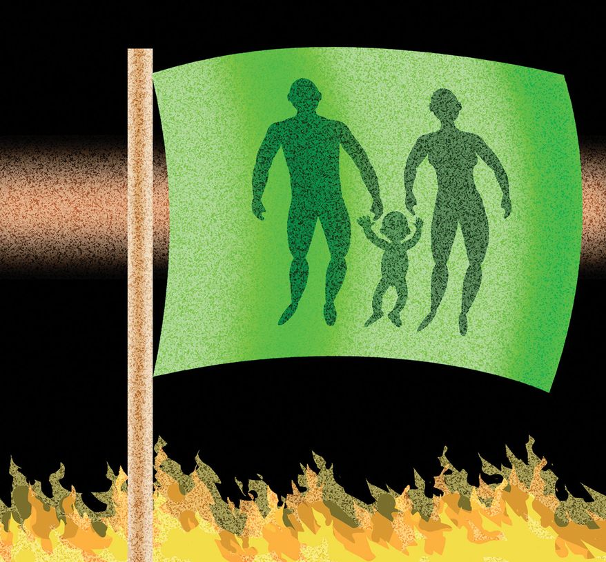 Supporting the traditional family illustration by Alexander Hunter/The Washington Times