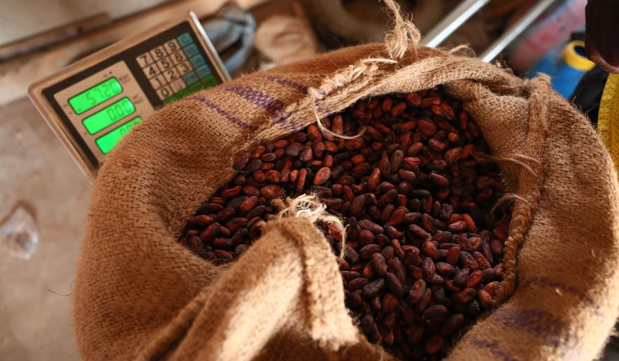 Cocoa beans in a storage facility in Kona, Ghana, on Friday, March 6, 2026. (AP Photo/Tsraha Yaw) **FILE**
