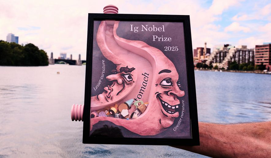 A 2025 Ig Nobel award, one of many that will be awarded by the Annals of Improbable Research magazine for silly-sounding scientific discoveries that often have surprisingly practical applications, is displayed, Sept. 17, 2025, in Boston. (AP Photo/Charles Krupa, File)
