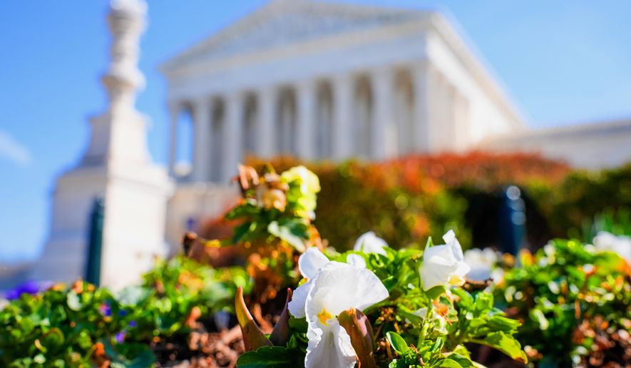 Flowers blooms in front of the U.S. Supreme Court Tuesday, March 10, 2026, in Washington. (AP Photo/Mariam Zuhaib)