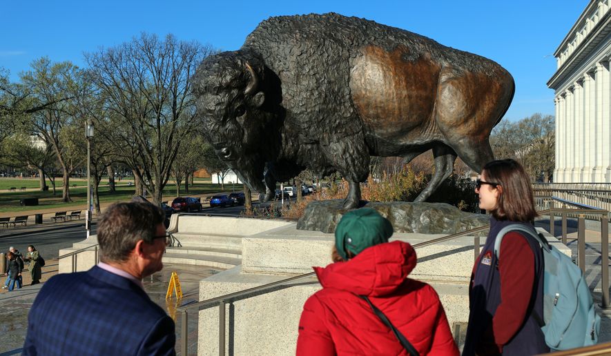 Bison statues cast in bronze are on permanent display outside the Smithsonian's National Museum of Natural History, Friday, March 20, 2026, in Washington. (AP Photo/Rahmat Gul)