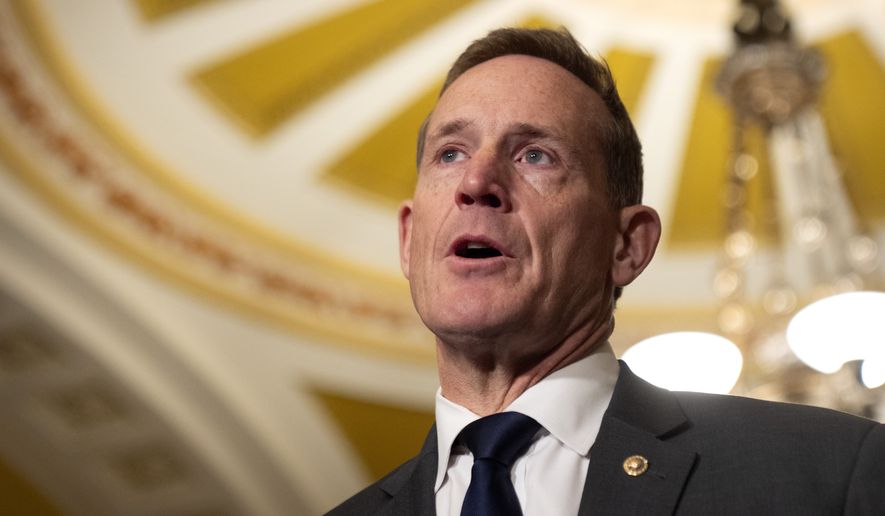 Sen. Ted Budd, R-N.C., speaks to reporters on Capitol Hill in Washington on Tuesday, Jan. 14, 2025. (AP Photo/Mark Schiefelbein) **FILE**