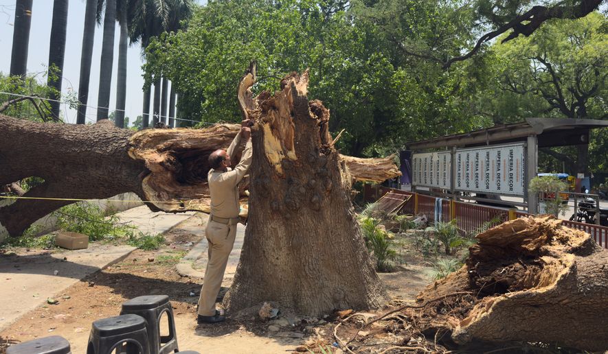 A Home Guard member ties a rope to a fallen tree to set up a temporary shelter following dust storms and heavy rain in Prayagraj, India, Thursday, May 14, 2026. (AP Photo/Rajesh Kumar Singh)
