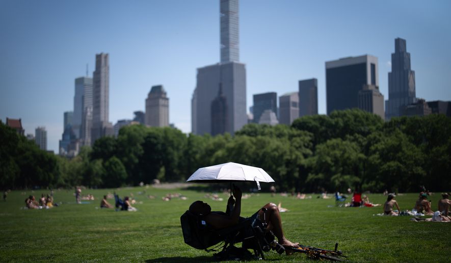 A person uses an umbrella to shield themselves from the sun during a heat advisory in Central Park, Tuesday, May 19, 2026, in New York. (AP Photo/Adam Gray)