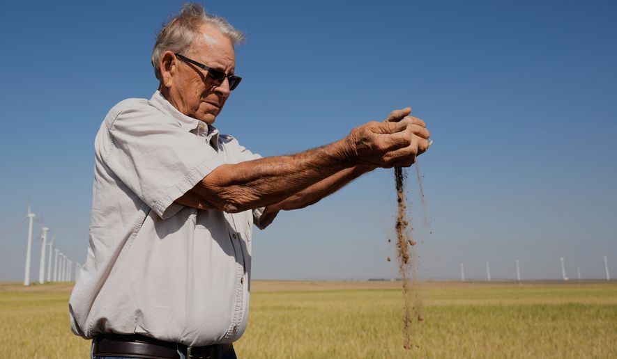 Farmer Orville Williams sifts powder dry soil as he checks the moisture in a drought-stressed wheat field Saturday, May 16, 2026, on his farm near Montezuma, Kan. (AP Photo/Charlie Riedel)