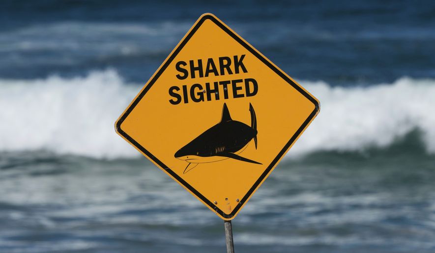 A sign is seen at the site of a fatal shark attack at Dee Why Beach in Sydney, Australia, Saturday, Sept. 6, 2025. (AP Photo/Mark Baker, File)