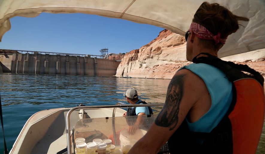 Utah State University master's student Barrett Friesen steers a boat near Glen Canyon dam on Lake Powell on June 7, 2022, in Page, Ariz. (AP Photo/Brittany Peterson, File)